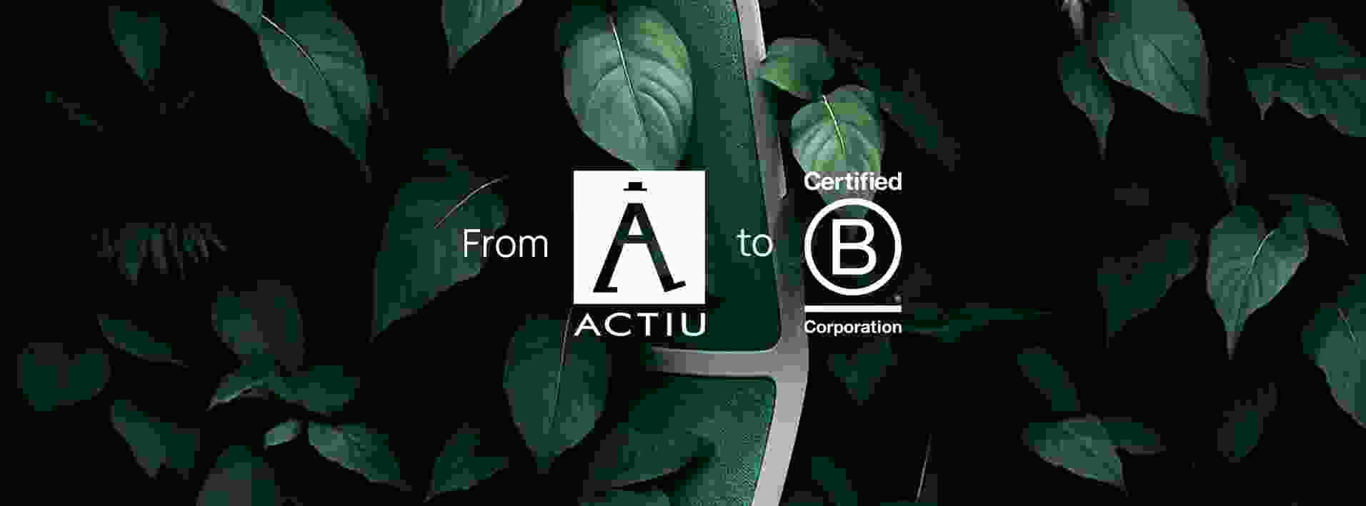 From vision to B Corp™