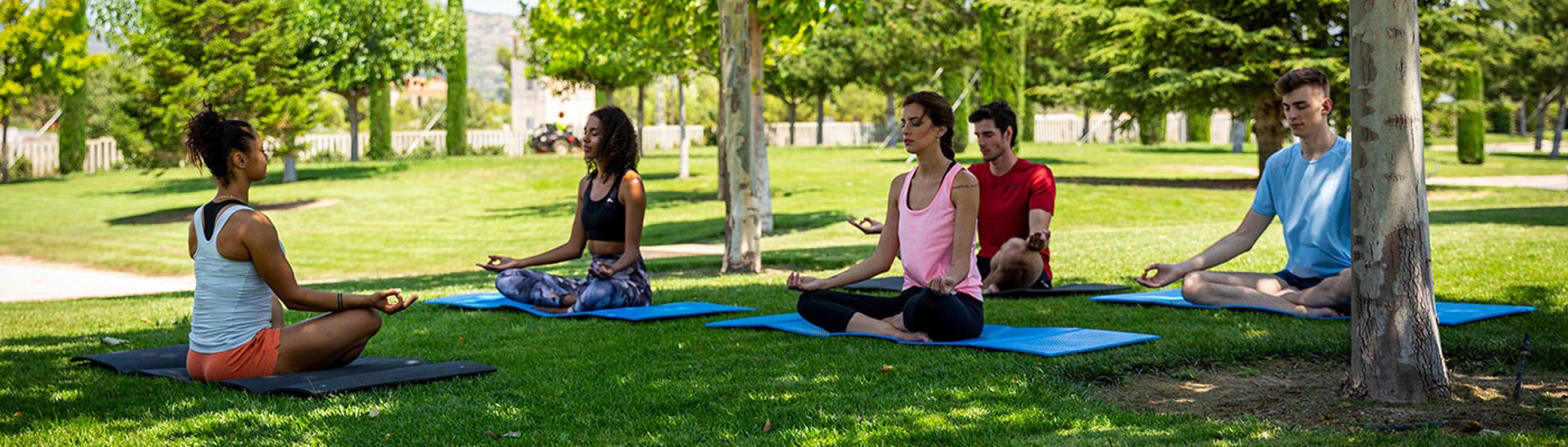 Actiu WELL Platinum: when going to work is synonymous with well-being