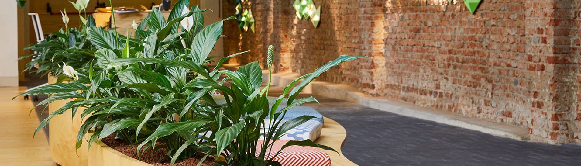 La naturaleza, clave para aumentar el bienestar y la creatividad en los espacios de trabajo