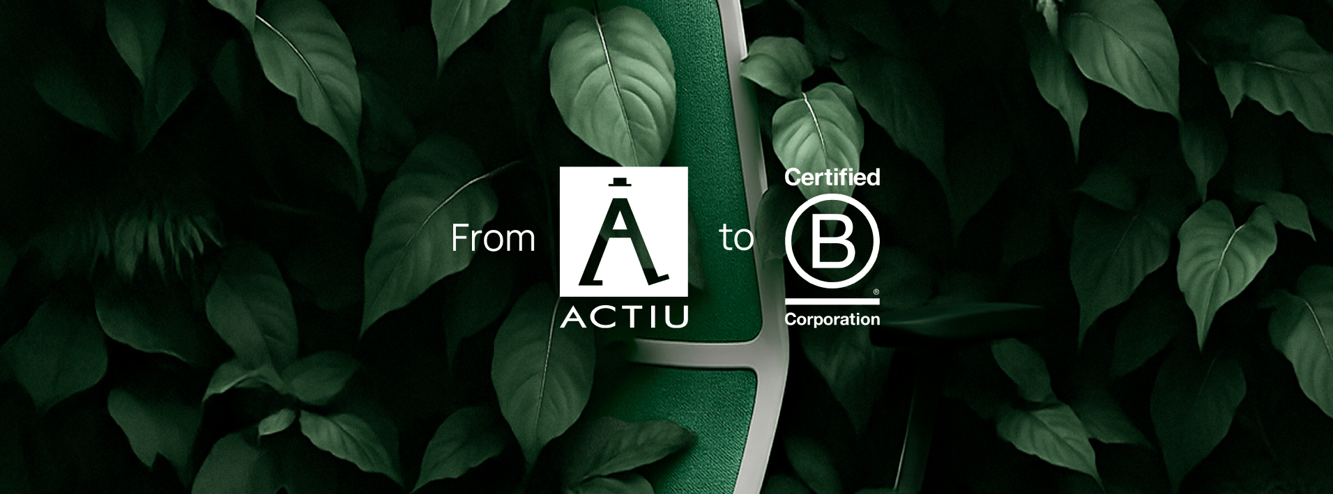 From vision to B Corp™ From vision to B Corp™