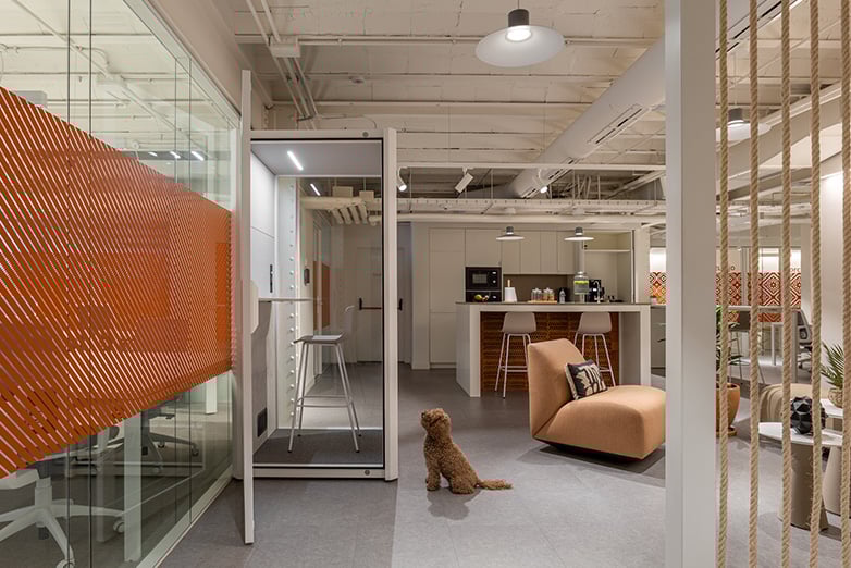petfriendly office image