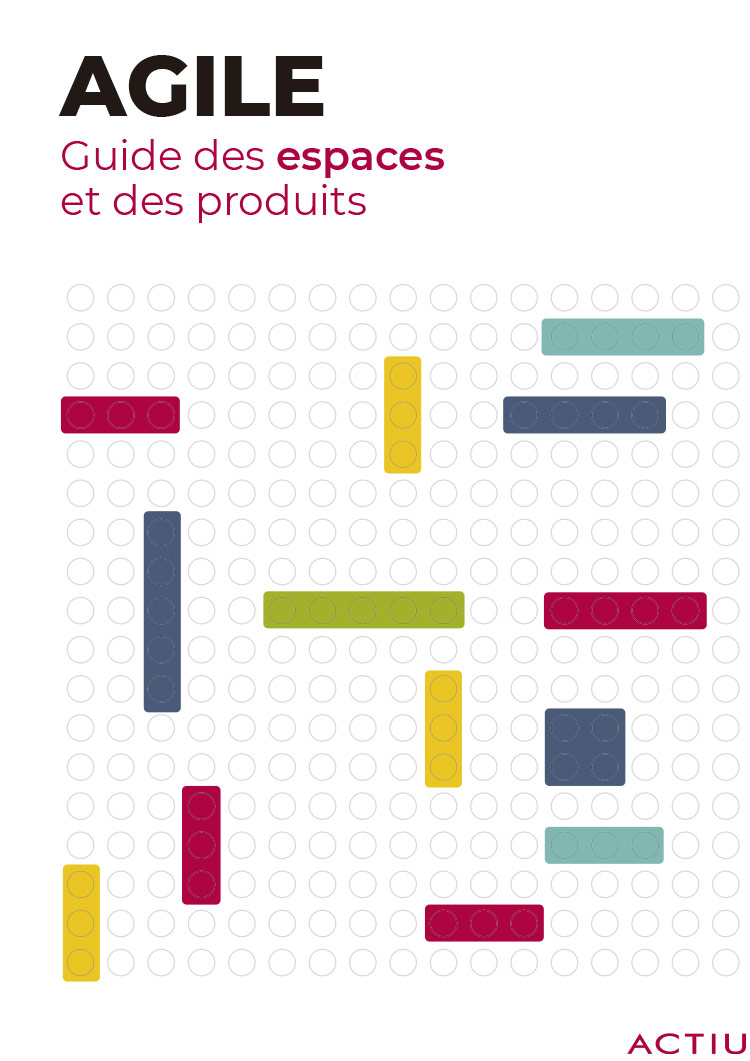 TÉLÉCHARGER GUIDE AGILE