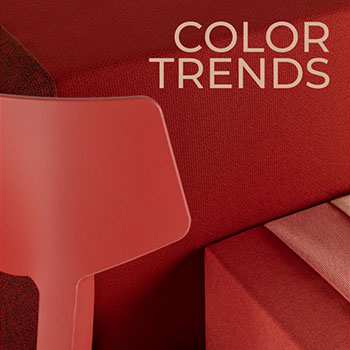 Color Trends